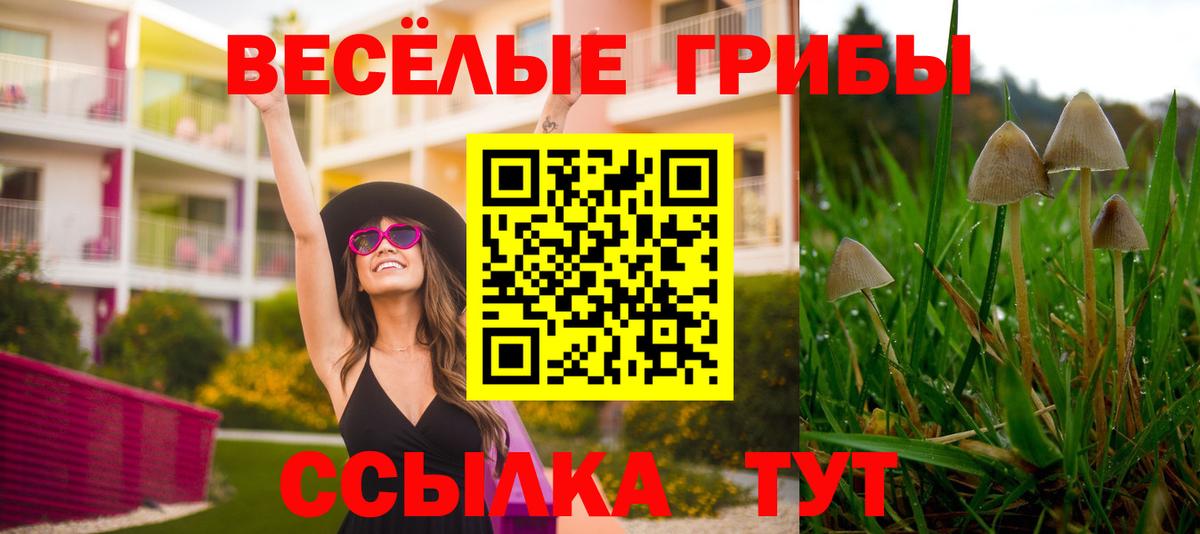 магазин продажи   Вход с VPN  Киреевск  Псилоцибиновые грибы ЛСД 