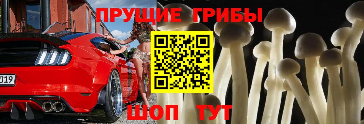 Псилоцибиновые грибы мухоморы Киреевск