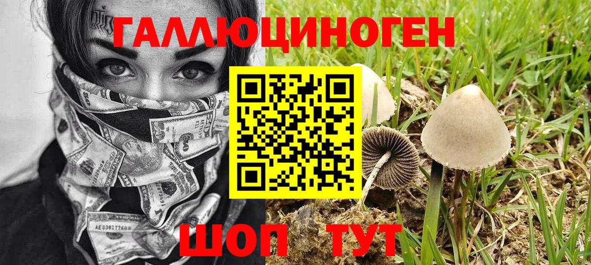 Галлюциногенные грибы GOLDEN TEACHER Киреевск